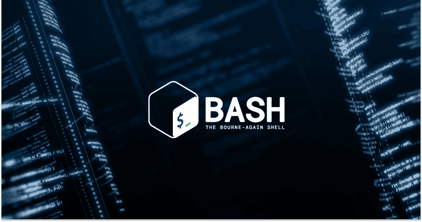 Bash Basics