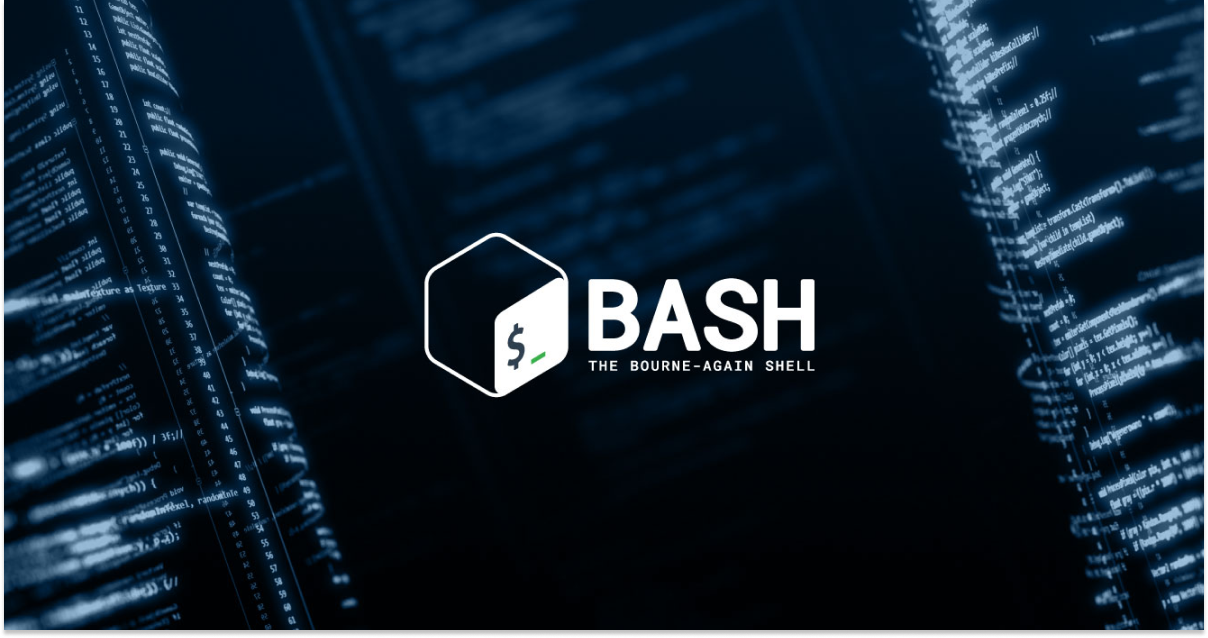 Bash Basics
